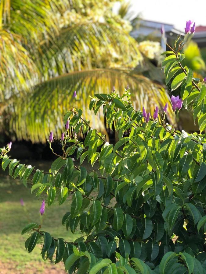 Hotel Sunshine Little Corn Island